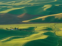 Quiet Country, Washington